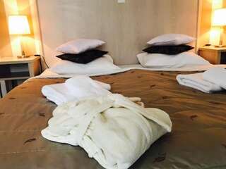 Отель Hotel Amalia Кудова-Здруй Двухместный номер Делюкс с 1 кроватью или 2 отдельными кроватями-10